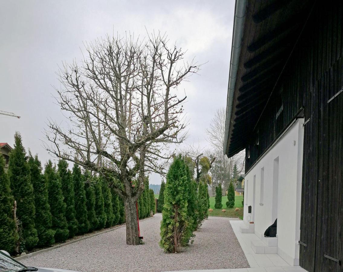 Muensing Naehe Starnberger See, Schoene Ferienwohnung, Gaestewohnung 125Qm Eg Und Og Kontaktfrei Exteriér fotografie